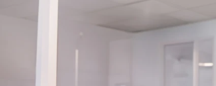 Global Services (AMS)